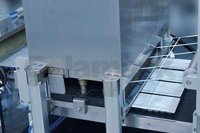 Blister Packaging Machine