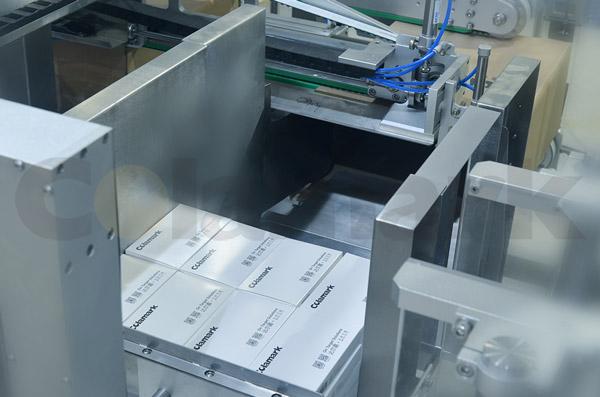 Side Loading Intelligent Integrated Case Packer