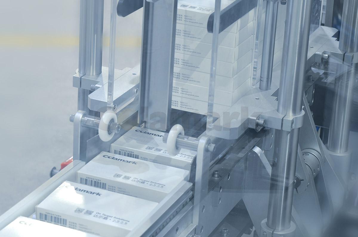 Side Loading Intelligent Integrated Case Packer