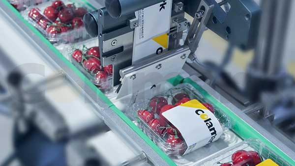 Series Modular Labeling System Series Modular Labeling System