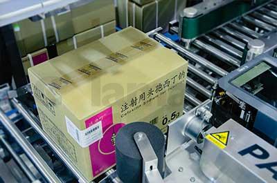 Case Packing and Palletizing System