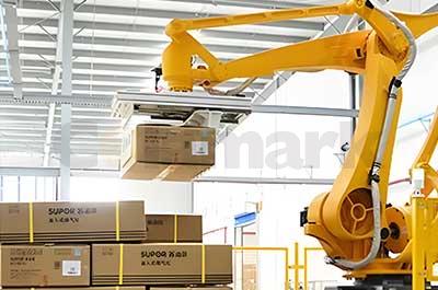 Case Packing and Palletizing System